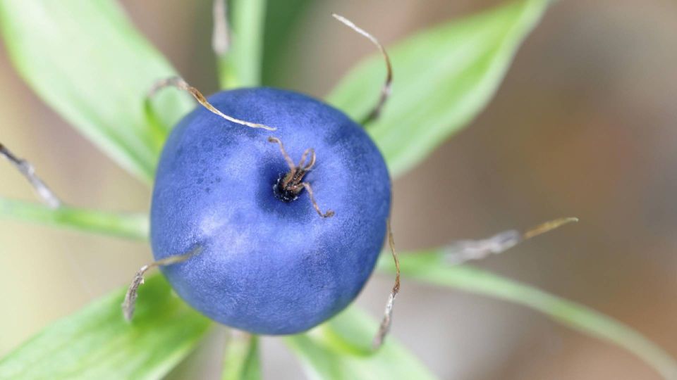 �������� ����� � ���� ������� �����: ��������� �������� ��� �� ����� ��������