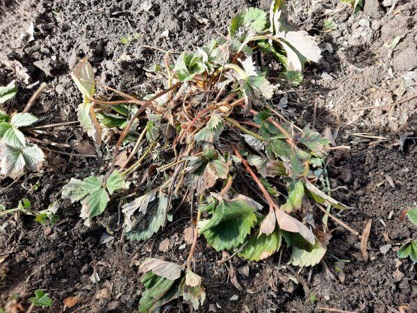 ��� ��������� �� ���������� ������: ��� ������� ���� ��� ��������