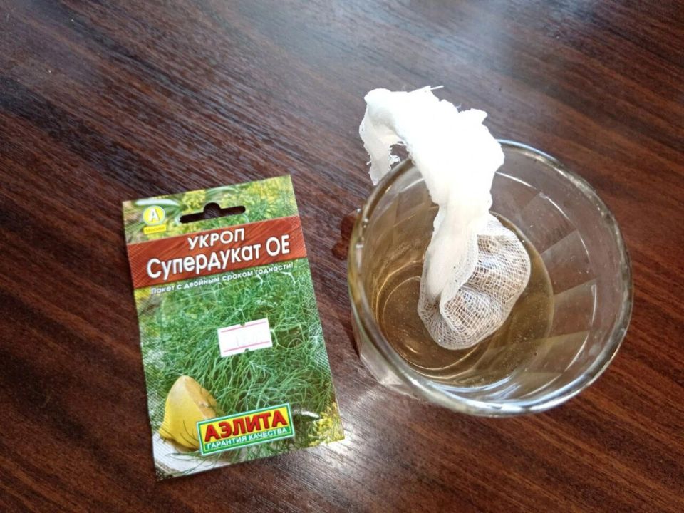 ��� ������ �������� ������ ������: ������� ��������� ����������� �����