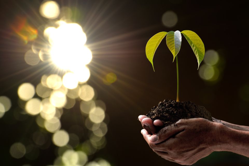 ��� ������� ������ ������������� ������ � �������