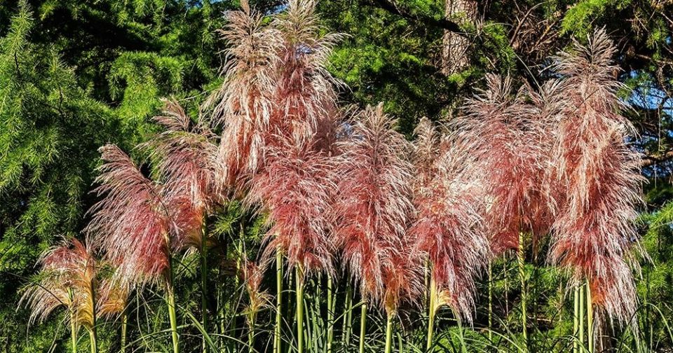 ��������� �����: ��� ����� ������� ������ ���� � 2025 ����