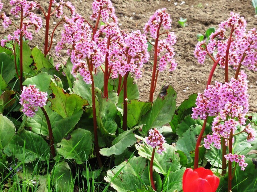 ����� ������ �������� ������ �� ���� � ��� ��� ������� ������