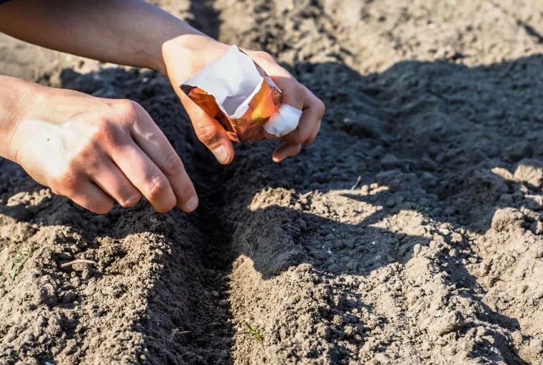 ����� � ��� ��������� ��������� �����: ������ ��� ��������� ������