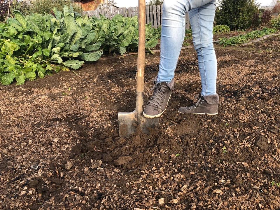 ������ ������� ��������� ������� � ��� ������ ���������