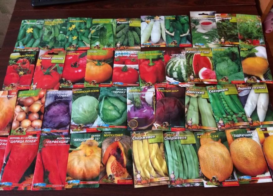 Почему важно тщательно выбирать семена: опасности импортных и гибридных вариантов