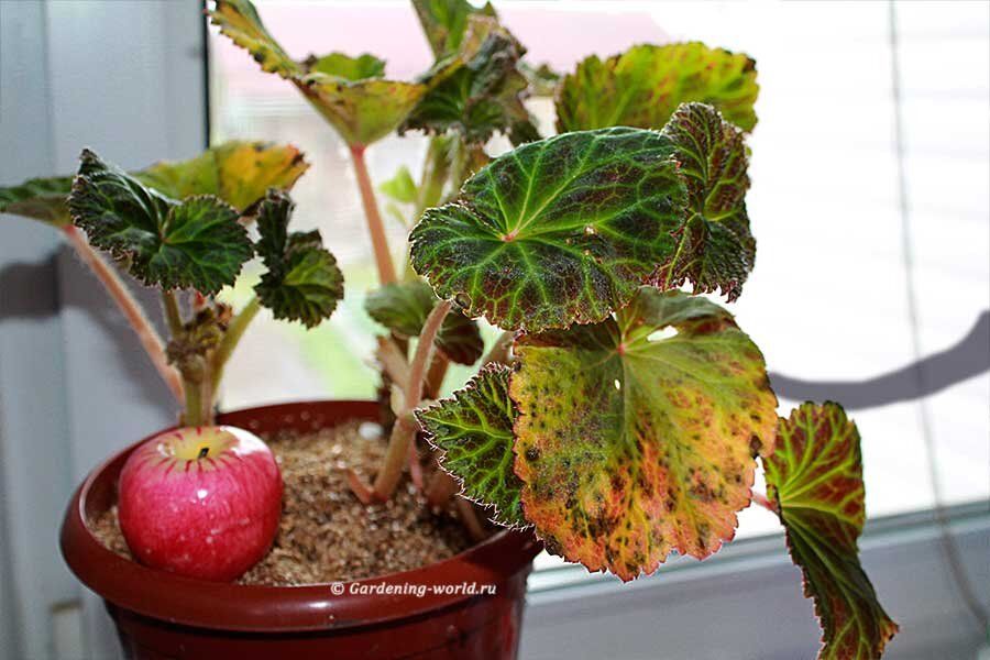 ������� ������� �������: ��� ��������� ����� �� �����