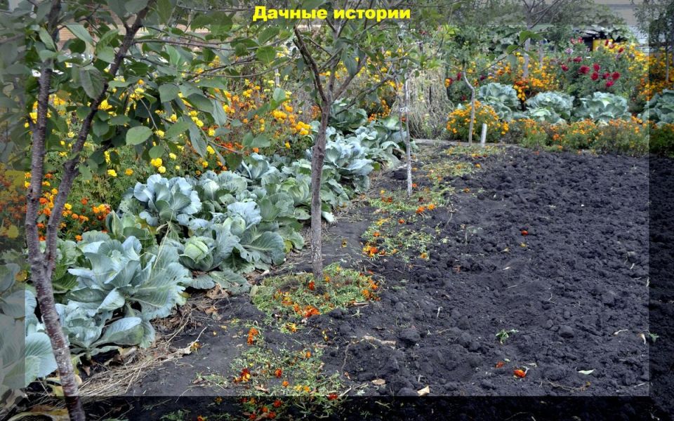 �������� � ����: ��� ������ �������� � ��������� �� �������