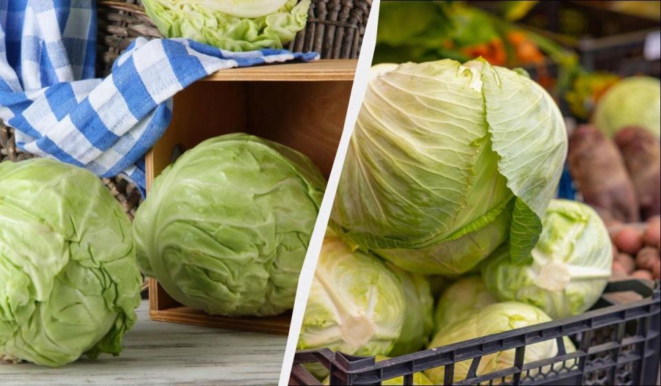 Как сохранить капусту до следующего лета без холодильника и погреба